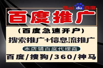 竞价排名广告投放案例